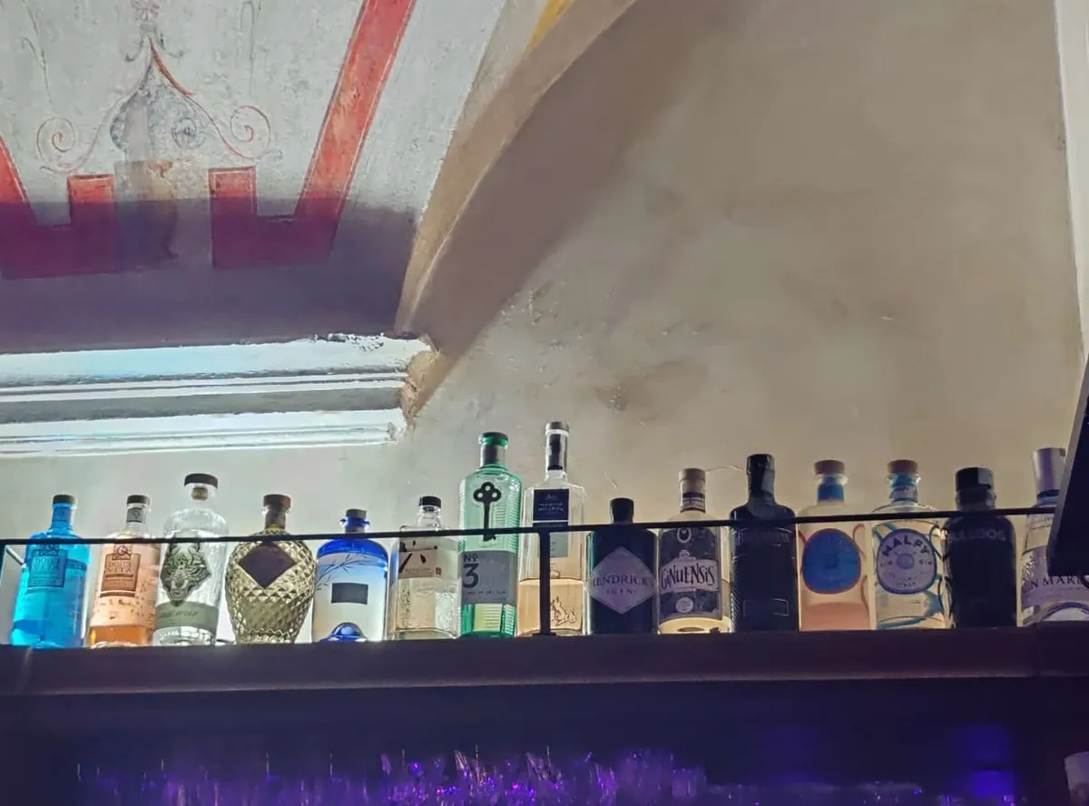 La volta affrescata con la collezione di gin